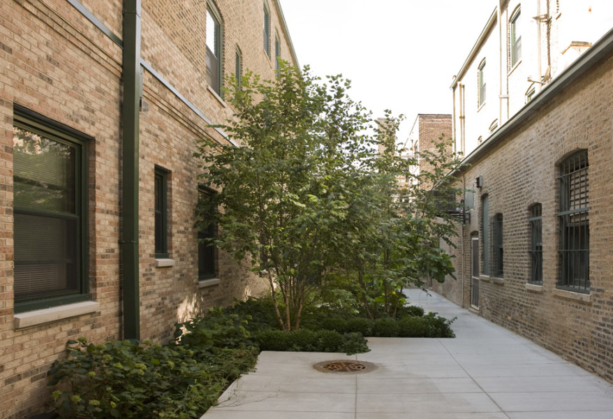 Harold Washington Apartments - Courtyard